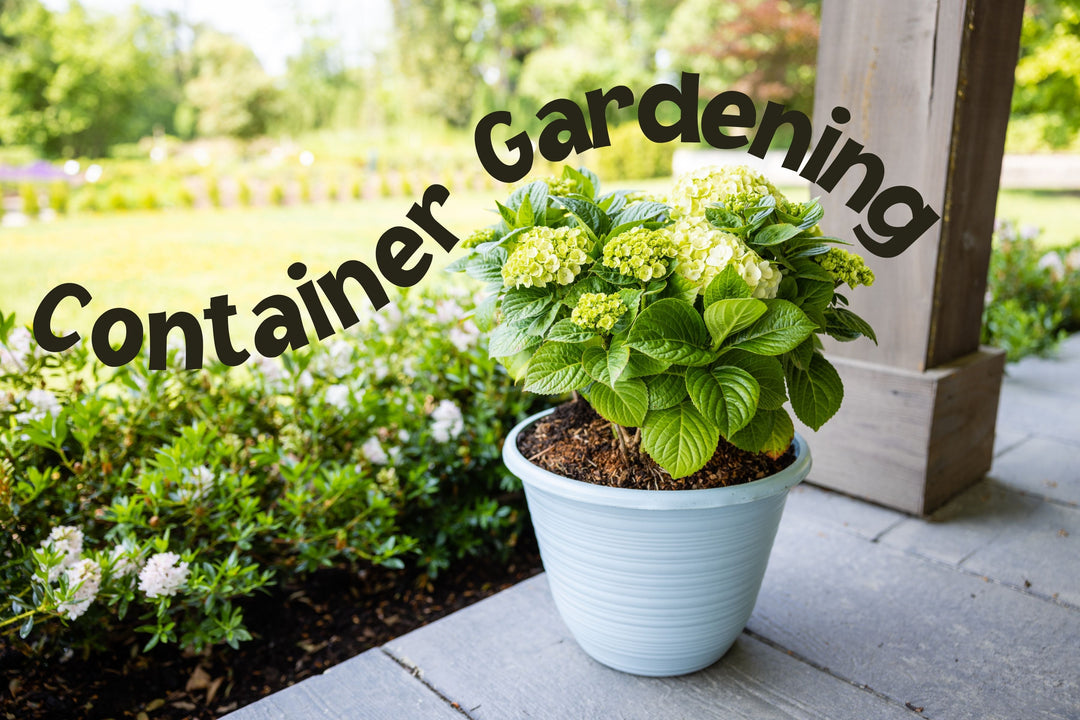 Growing Your Garden in Pots