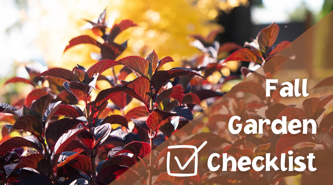 Your Fall Garden Checklist