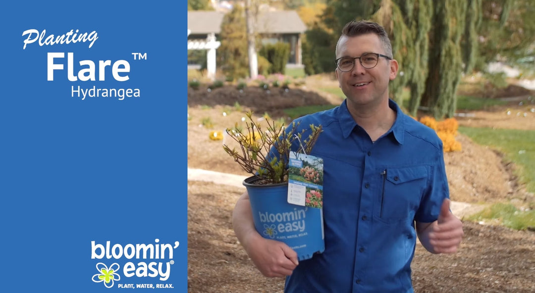 How to Plant Bloomin' Easy® Flare™